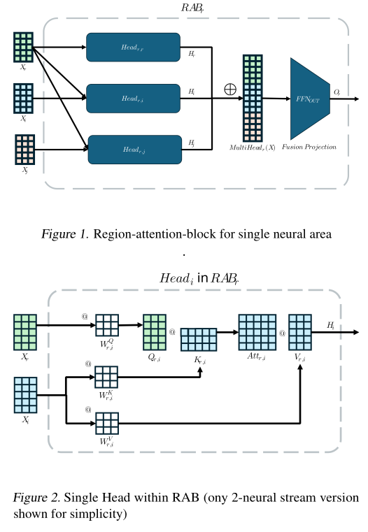 Neuroanatomical Transformers Paper