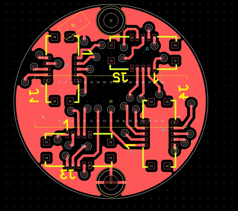 Digital organism visualization