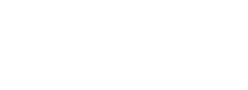 Survival and Flourishing Fund