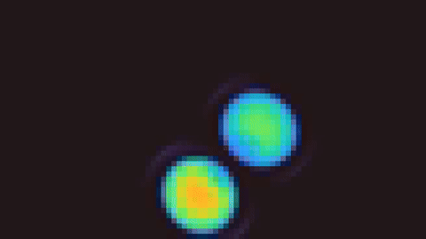 Netho Labs Animation