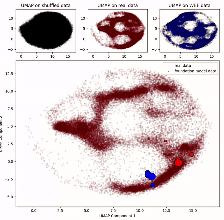 Mesoscale neural dynamics animation 2